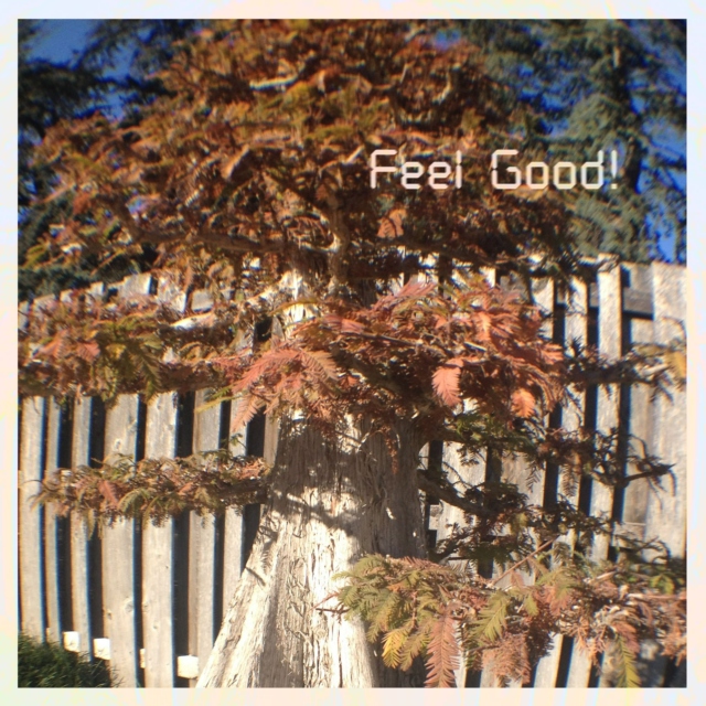 feel good!