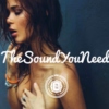 The Sound You Need