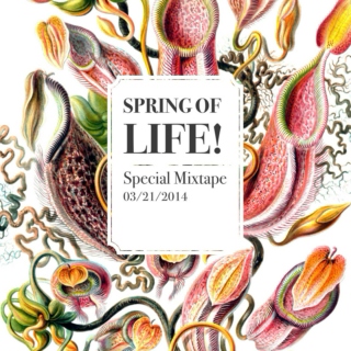 Special Mixtape: Spring of Life!