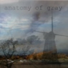 anatomy of gray