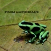 From Amphibians