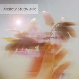 Mellow Study Mix