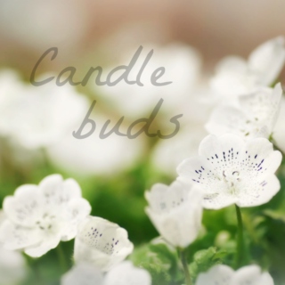 Candle buds
