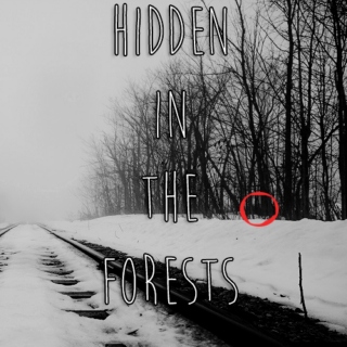 {hidden in the forests