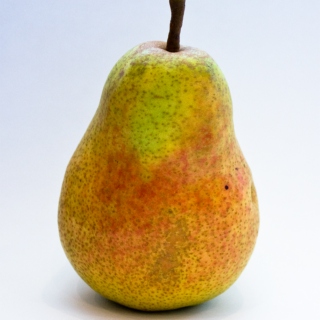 O'Pears