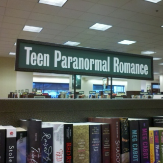 ~*~teen paranormal romance~*~