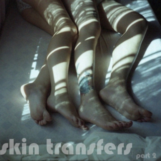 skin transfers p. two
