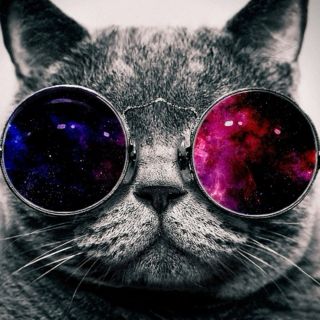 Background Purr of the Universe