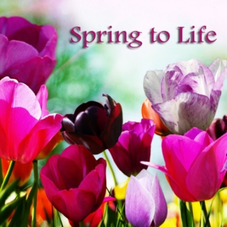 Spring to Life