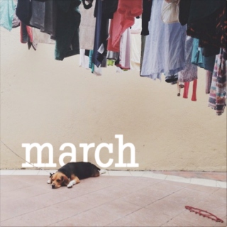 March: Dog days