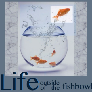 Life Outside of the Fishbowl