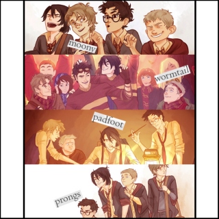 moony, wormtail, padfoot, and prongs