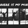 where is my mind