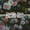 Gentle Now