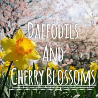 Daffodils and Cherry Blossoms