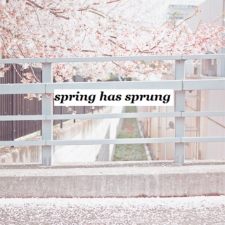 spring has sprung