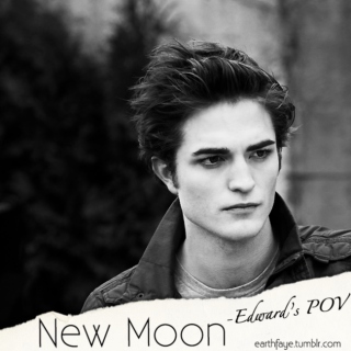 New Moon - Edward's POV
