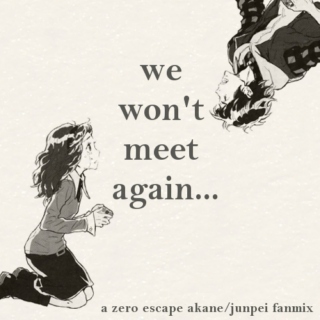 We Won't Meet Again...