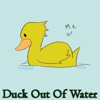 Duck Out Of Water