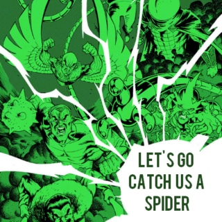 let's go catch us a spider