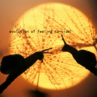 evolution of feeling (a-side)