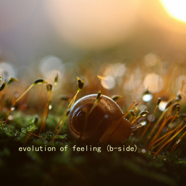 evolution of feeling (b-side)