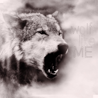 wolf like me //