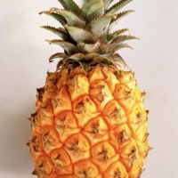 Pineapple's Favourites