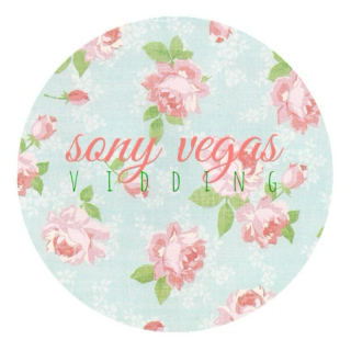 Sony Vegas #vidding