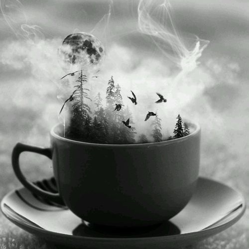 8tracks Radio Cloudy Day And A Cup Of Tea 9 Songs Free And Music Playlist