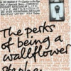 I swear we were infinite: a Tribute to "the Perks of Being a Wallflower"