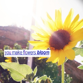 you make flowers bloom