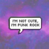 ✖ i do what i want, i'm punk rock ✖