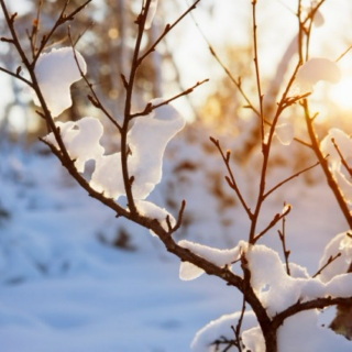 Winter || Seasons of Kpop