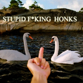 Stupid F*king Honks