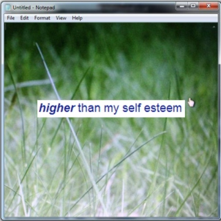 Higher Than My Self Esteem 