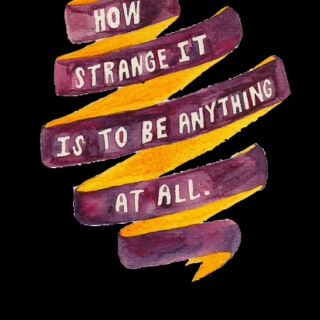 how strange it is to be anything at all