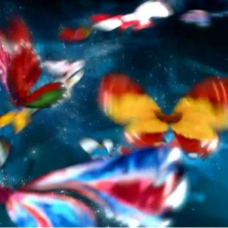Butterfly in Eurovision