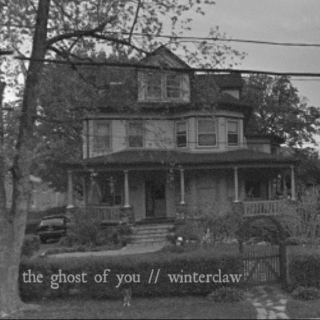 the ghost of you // winterclaw