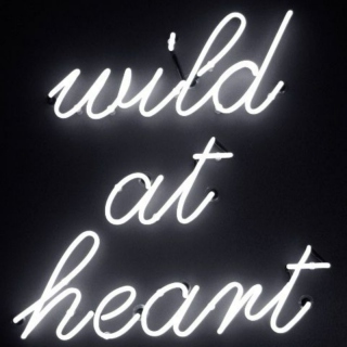 wild at heart