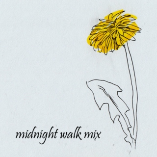 Midnight Walk Mix