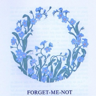 .Forget me not.