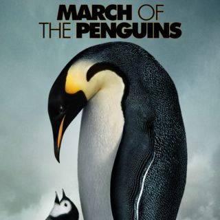 Fear before the march of the penguins