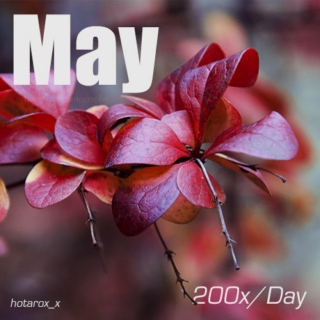 200x/Day (May '14)
