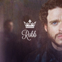 Wolf Pack - Robb