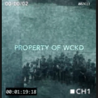 PROPERTY OF WICKED