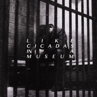 like cicadas in a museum {dean}