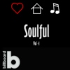 Soulful House - Vol 1 (2014)