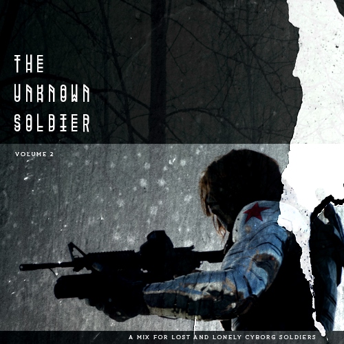 The Unknown Soldier, Volume 2