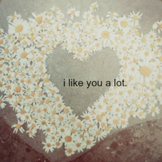 i like you a lot.